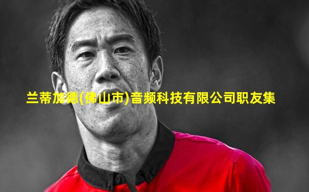 兰蒂加德(佛山市)音频科技有限公司职友集