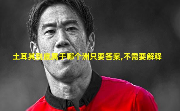 土耳其到底属于哪个洲只要答案,不需要解释