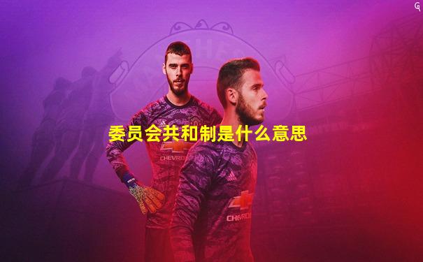 委员会共和制是什么意思