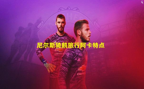 尼尔斯骑鹅旅行阿卡特点