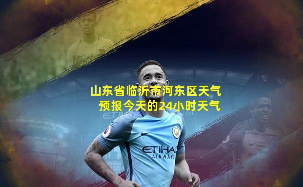山东省临沂市河东区天气预报今天的24小时天气