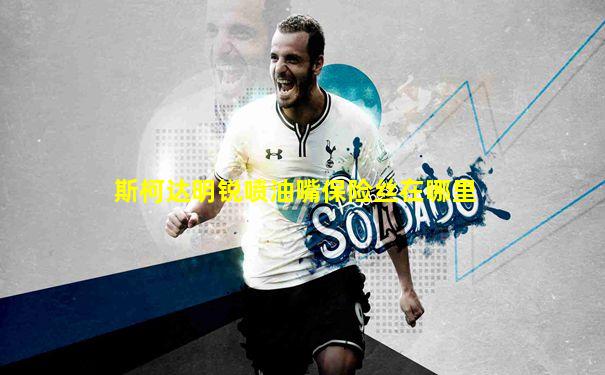 斯柯达明锐喷油嘴保险丝在哪里