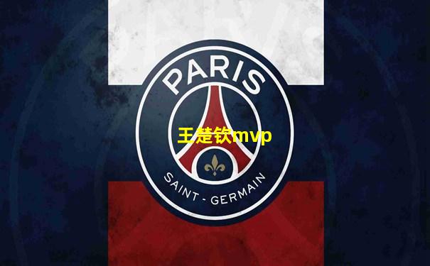 王楚钦mvp
