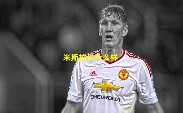 米斯拉长什么样
