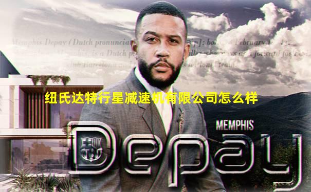 纽氏达特行星减速机有限公司怎么样