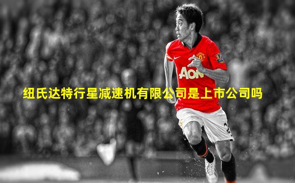 纽氏达特行星减速机有限公司是上市公司吗