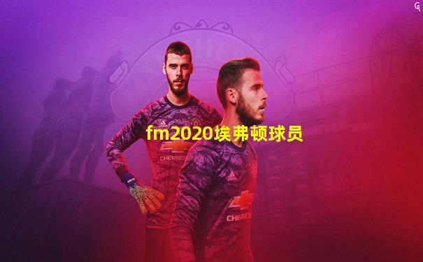 fm2020埃弗顿球员