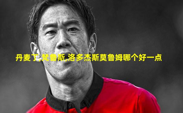 丹麦丁,梵鲁斯,洛多杰斯莫鲁姆哪个好一点