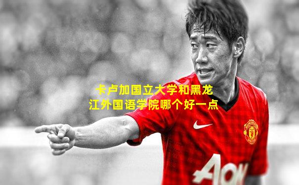 卡卢加国立大学和黑龙江外国语学院哪个好一点