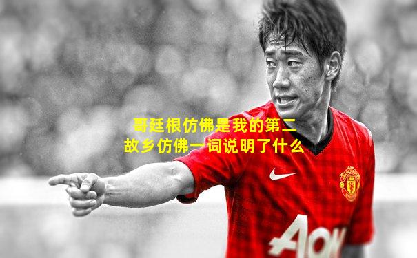 哥廷根仿佛是我的第二故乡仿佛一词说明了什么