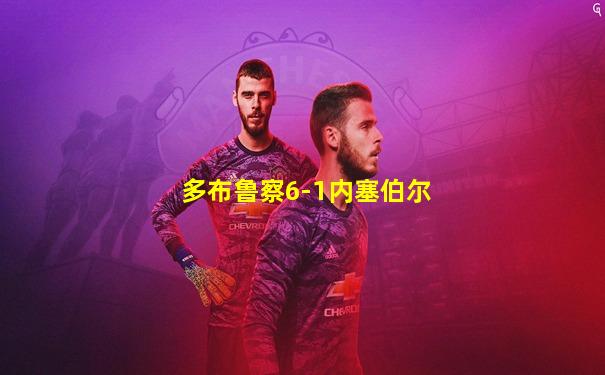多布鲁察6-1内塞伯尔