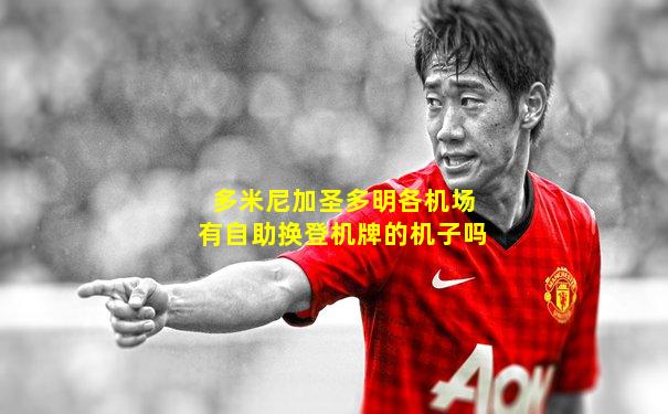 多米尼加圣多明各机场有自助换登机牌的机子吗