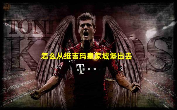 怎么从维吉玛皇家城堡出去
