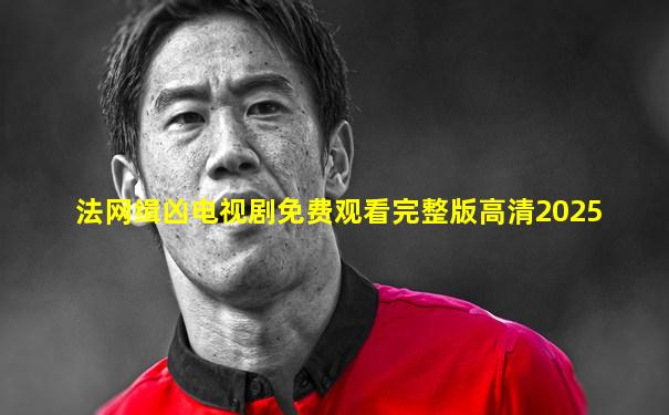 法网缉凶电视剧免费观看完整版高清2025