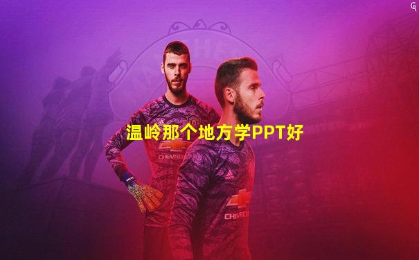 温岭那个地方学PPT好