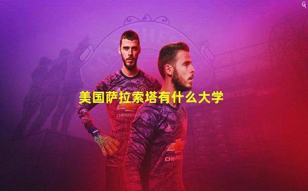 美国萨拉索塔有什么大学