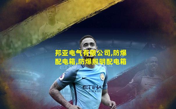 邦亚电气有限公司,防爆配电箱,防爆照明配电箱